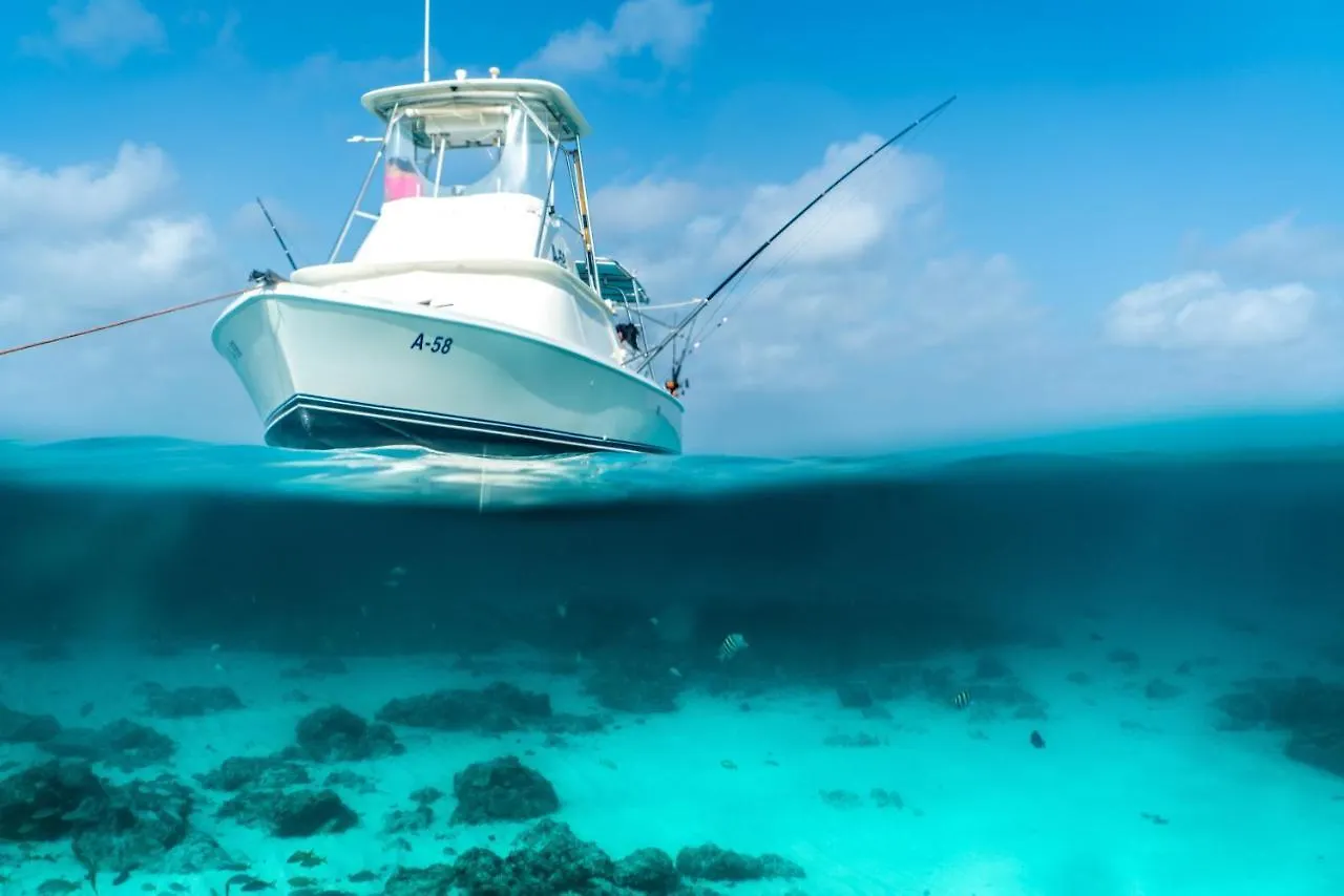 Turibana 50 G Villa Noord 0*,  Aruba